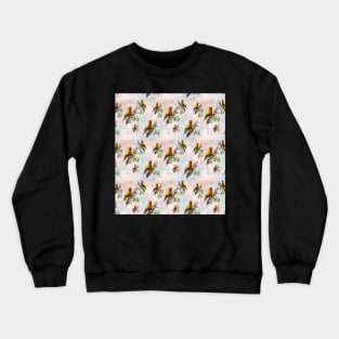 Sun Conures looking at you Crewneck Sweatshirt